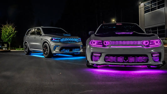 The Team Behind the Movement